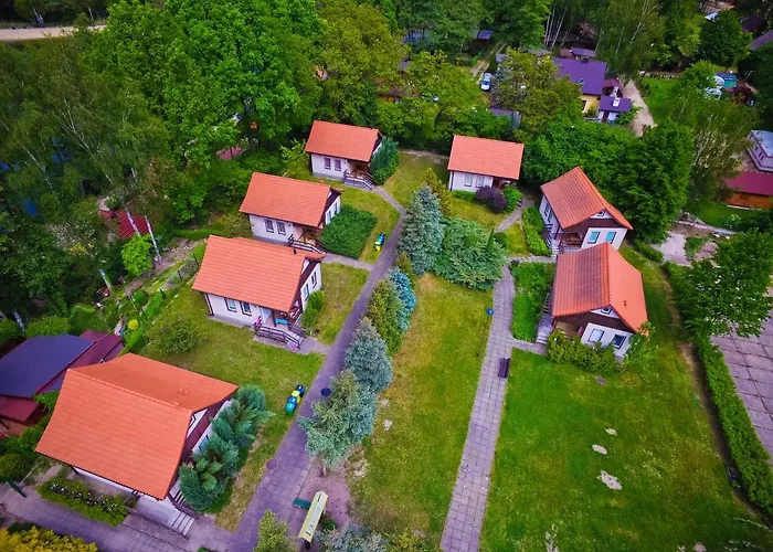 Rozane Wzgorze Rokitki (Legnica)